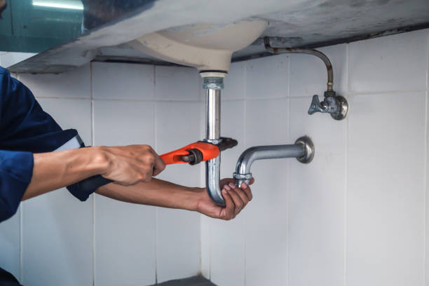 Best Same-Day Plumbing Service  in Hampton, IL