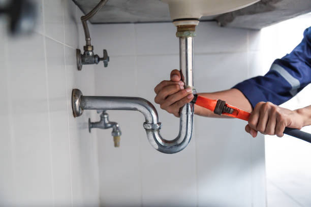 Best Same-Day Plumbing Service  in Hampton, IL