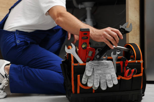 Best Residential Plumbing Services  in Hampton, IL
